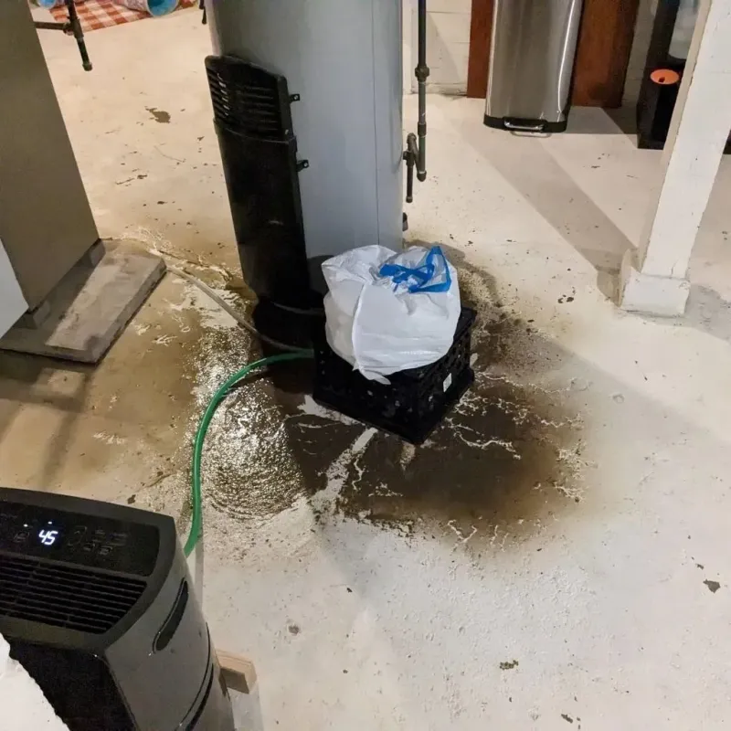 Sewage Backup Cleanup Service in Country Club Hills, IL